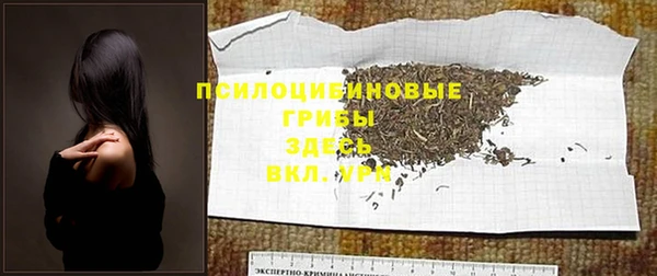 каннабис Арсеньев