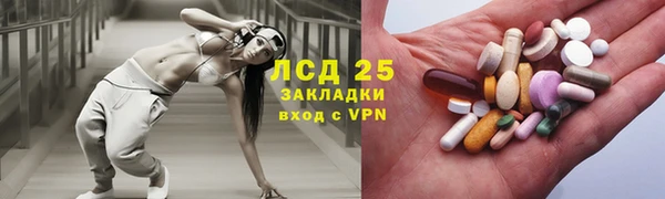 крисы Алексин