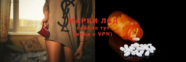 крисы Алексин