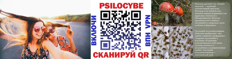 блэк спрут сайт  Ахтубинск  darknet как зайти  Псилоцибиновые грибы прущие грибы 