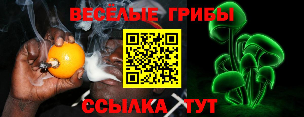 Галлюциногенные грибы мицелий  Вход с VPN  купить наркотик  Галлюциногенные грибы GOLDEN TEACHER  Ахтубинск 